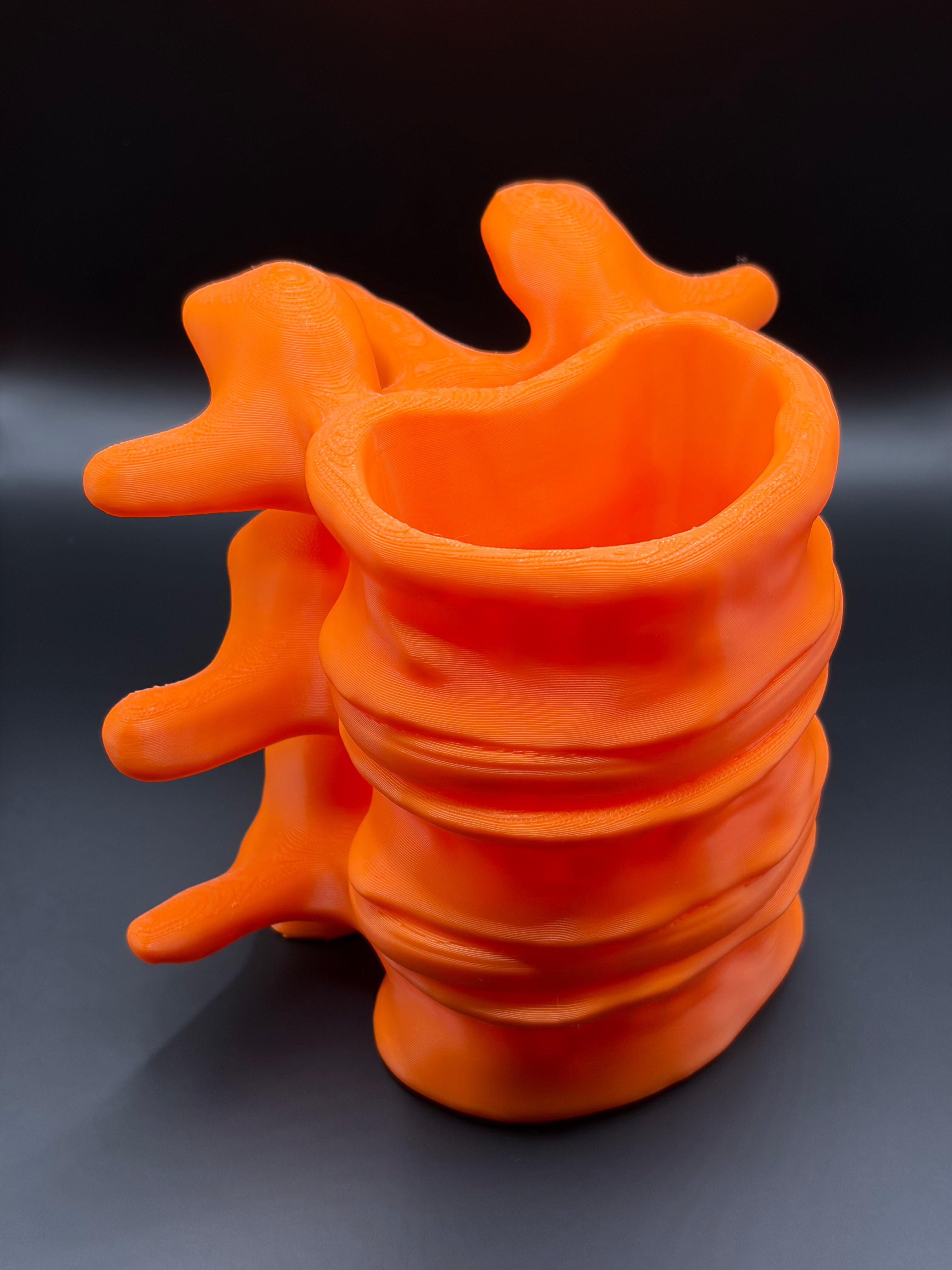 Vertebrae Pen/Pencil Desktop Holder