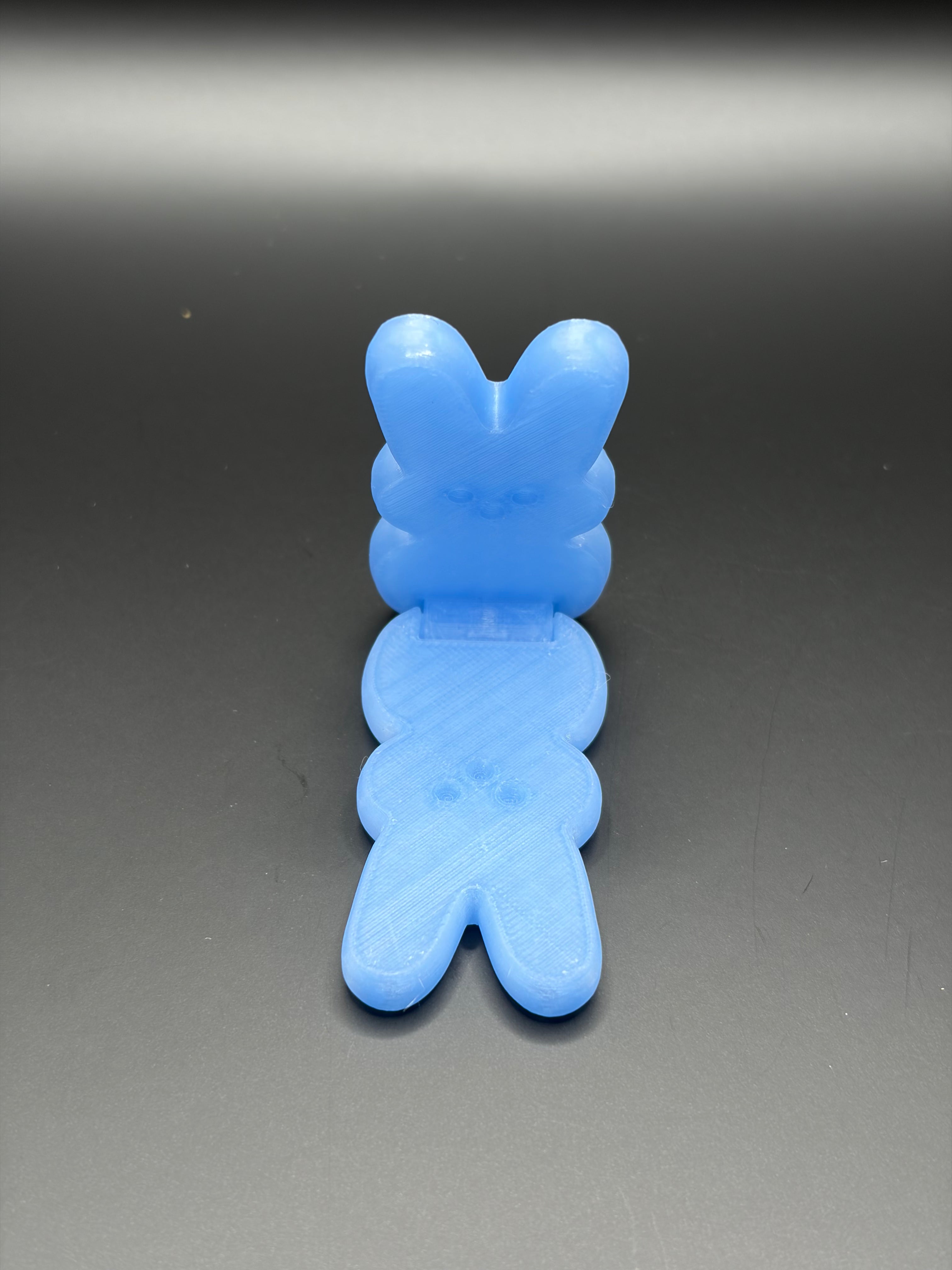 Fidget Bunny